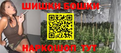 индика Тара