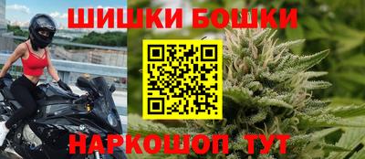 шишки Тверь