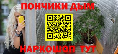 шишки Тверь