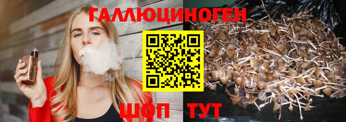 Галлюциногенные грибы мухоморы  Вход с VPN  закладки  Оренбург 