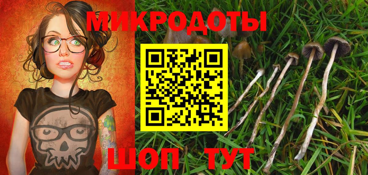 Галлюциногенные грибы мицелий Оренбург